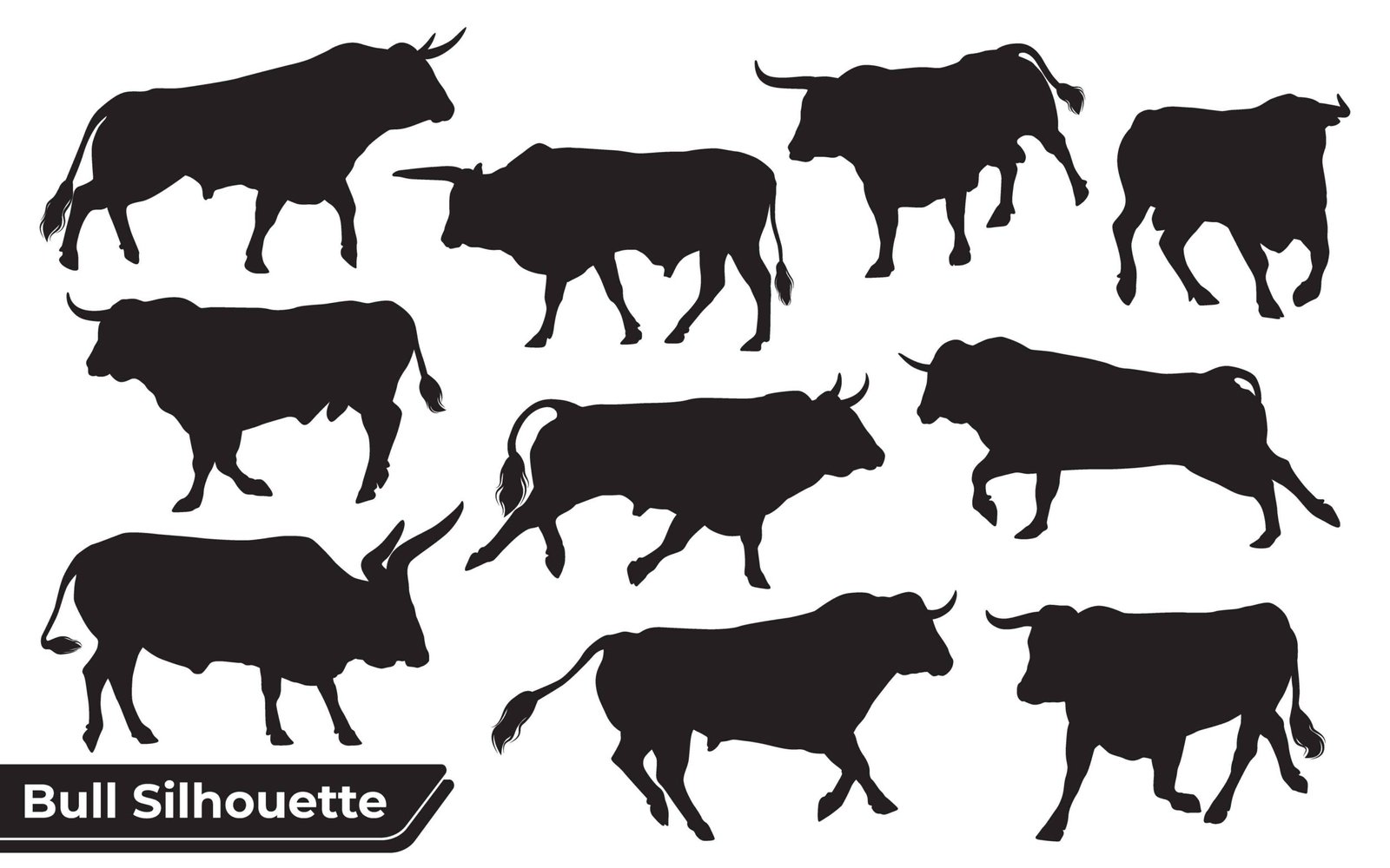 Collection of Bull Silhouette in different poses