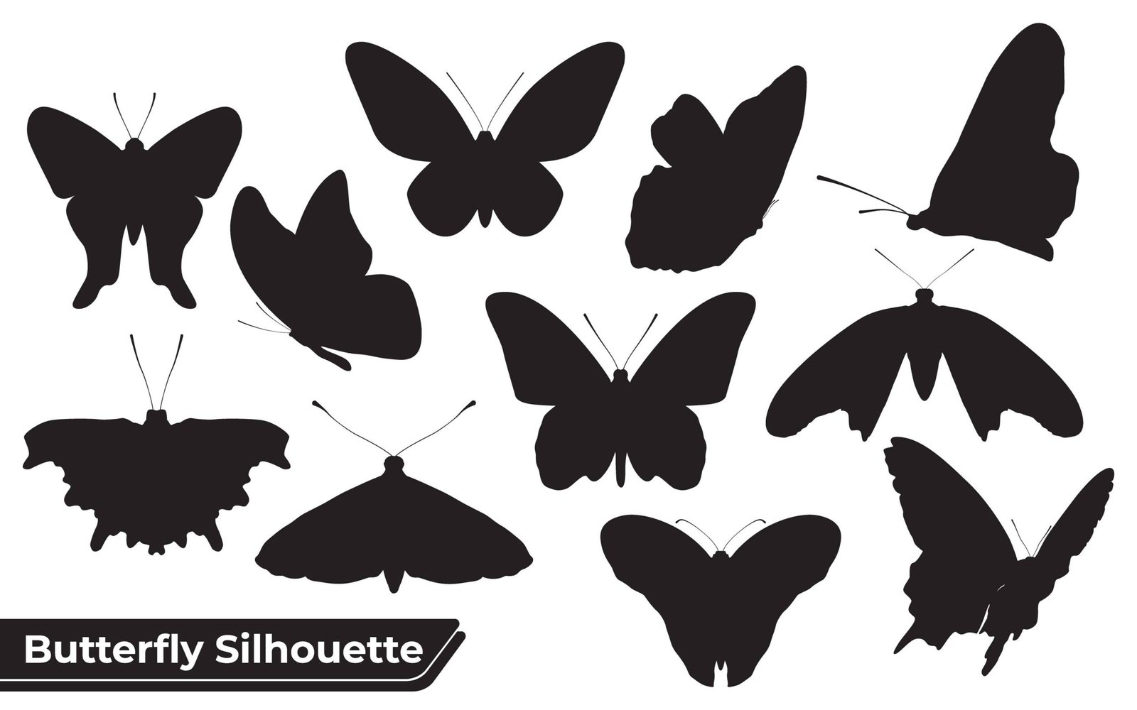Collection of Butterfly Silhouettes in different poses