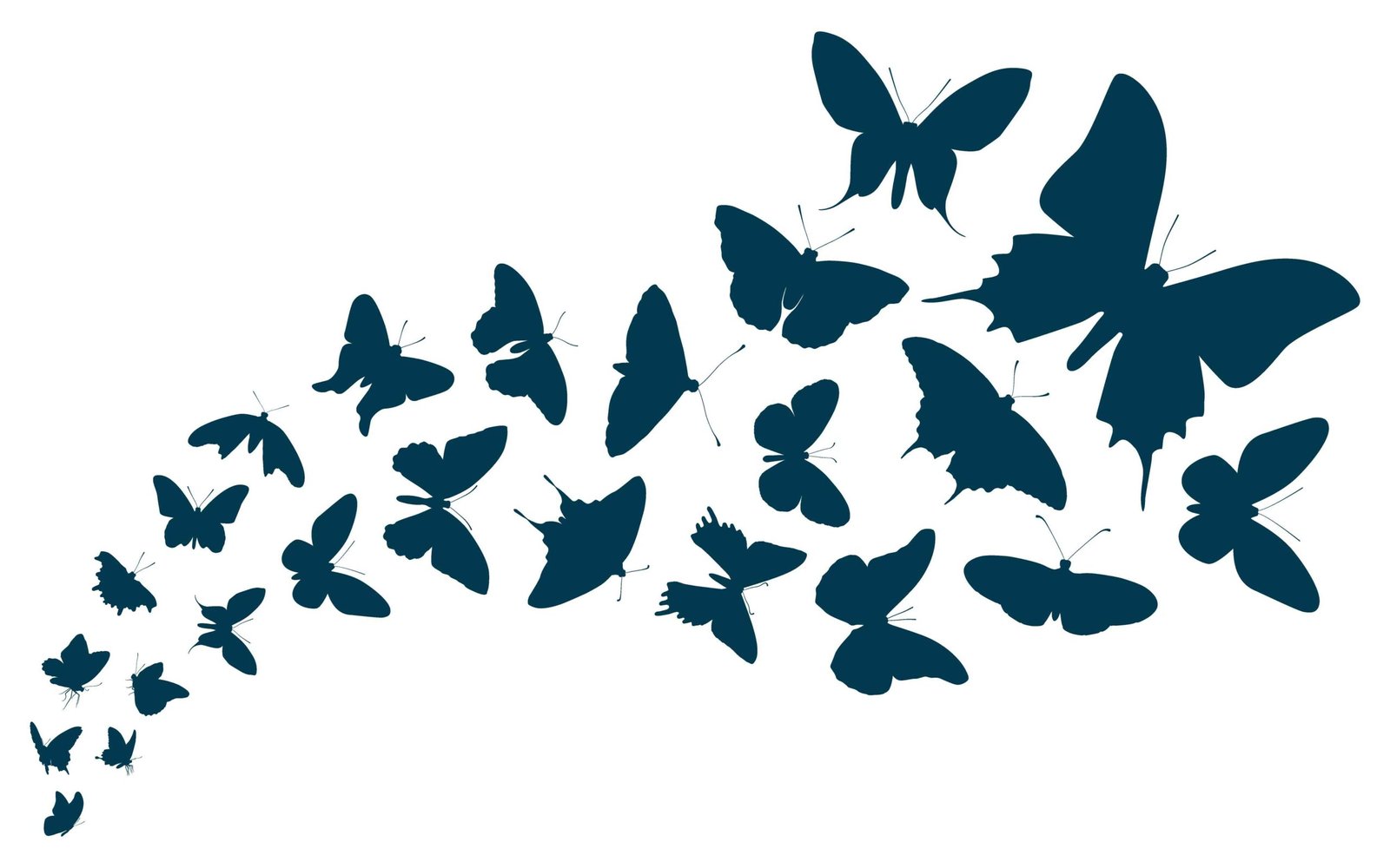 Butterfly illustration 001
