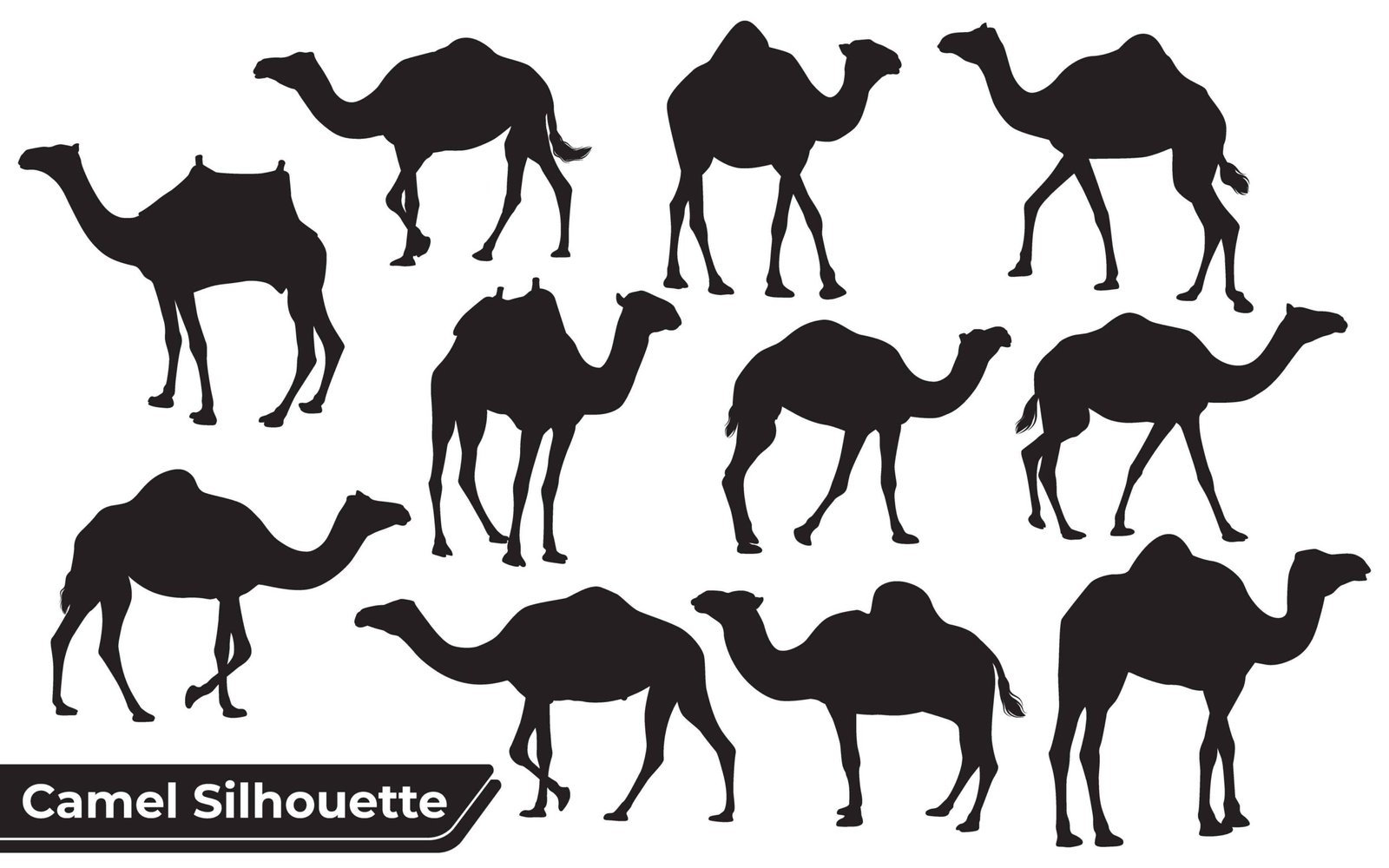 Collection of Camel Silhouette in different poses