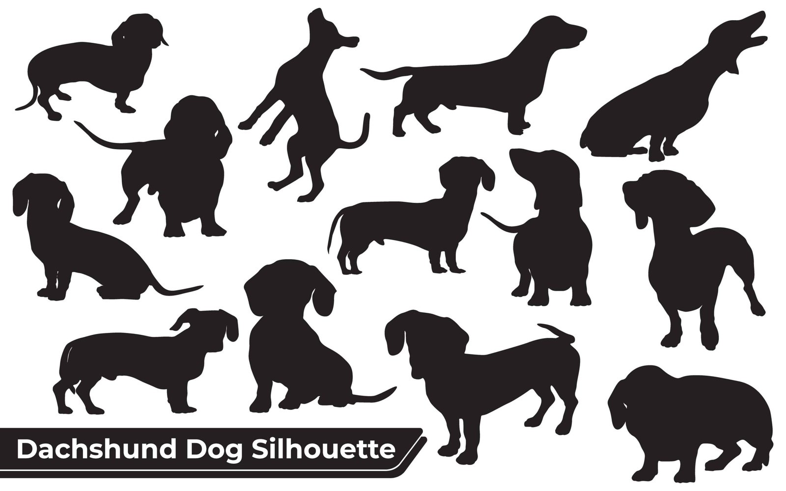 Dog 102