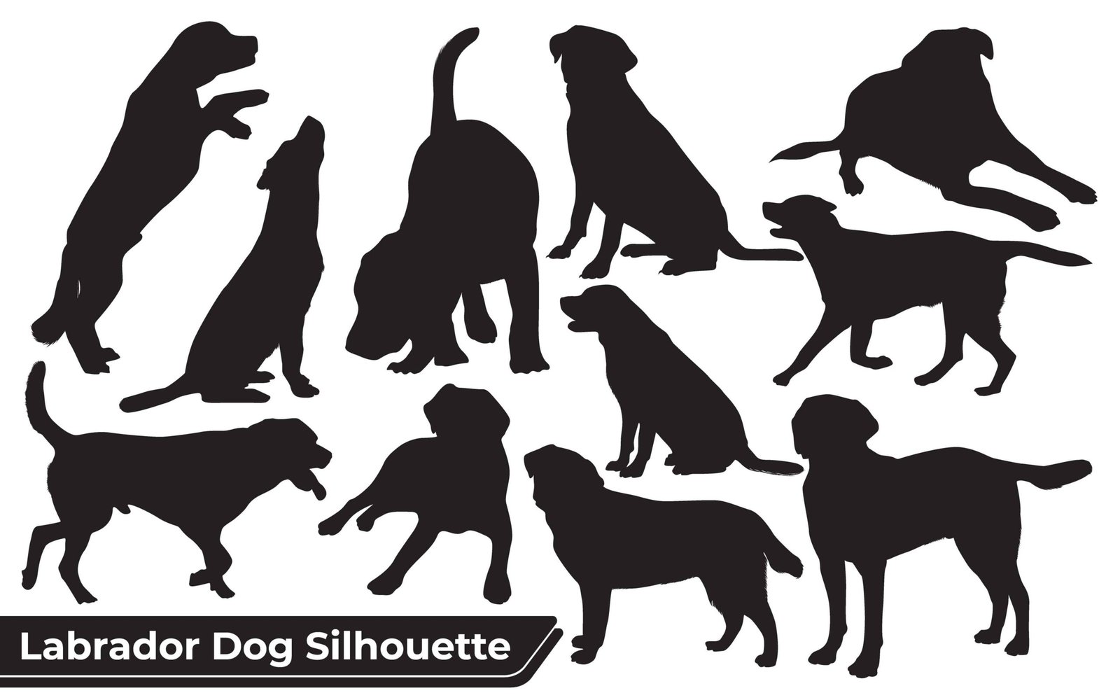 Dog 112