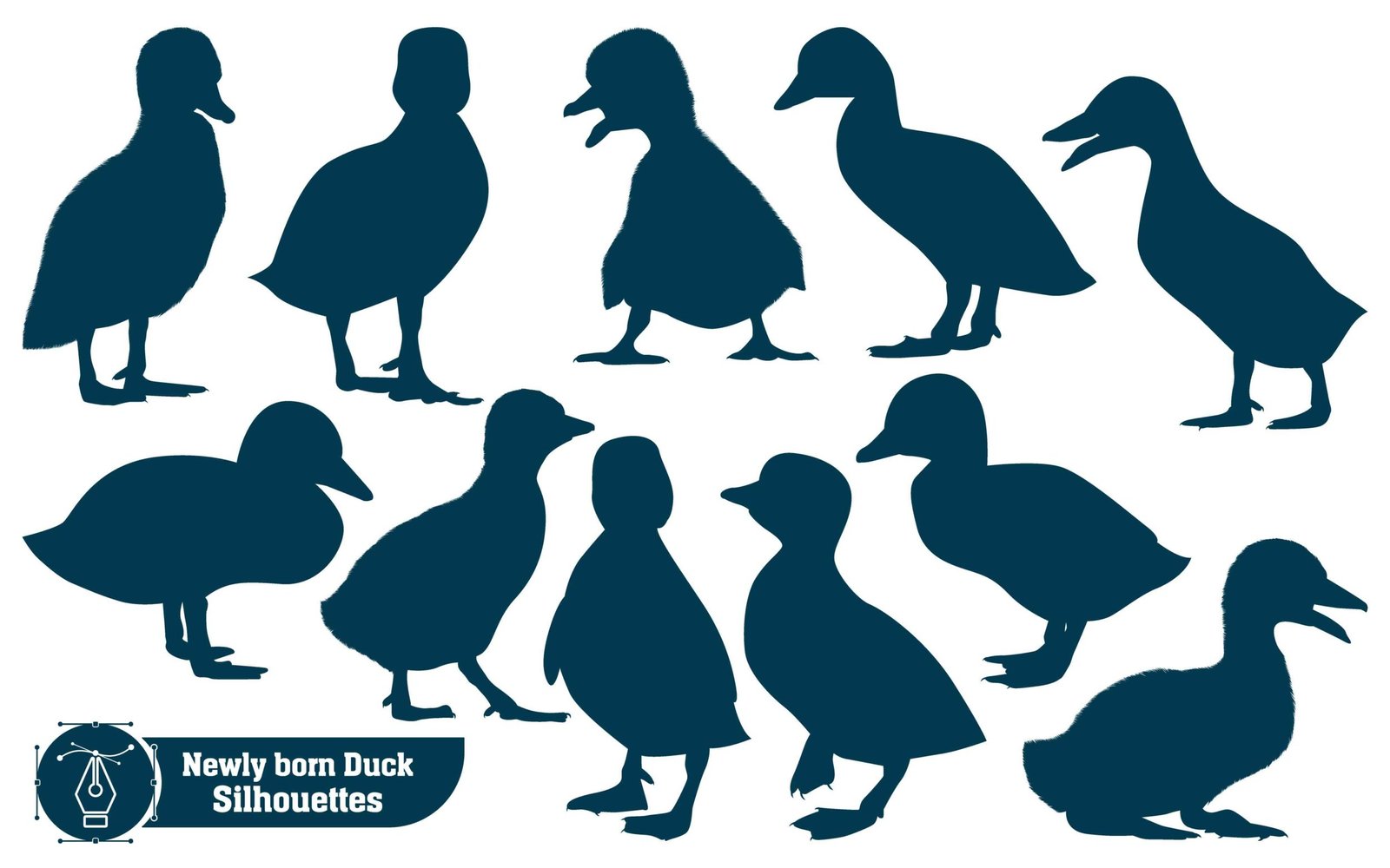 Farm Animal Newly born Duck Silhouette Vector Illustration