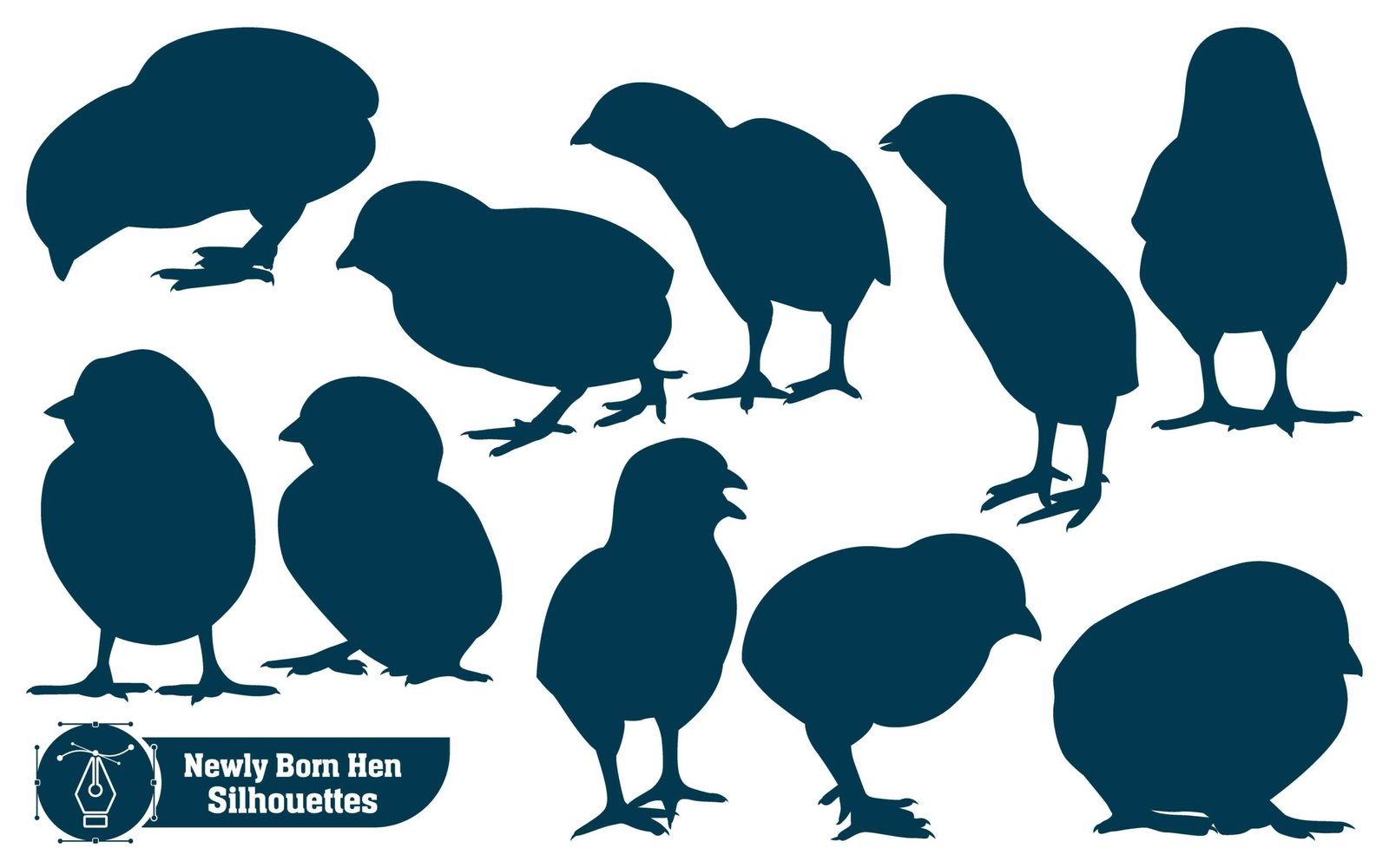 Farm Animal Newly born Hen Silhouette Vector Illustration