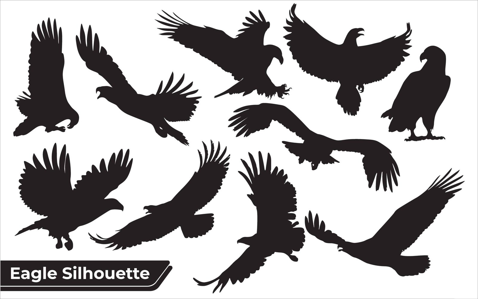 Eagle 102
