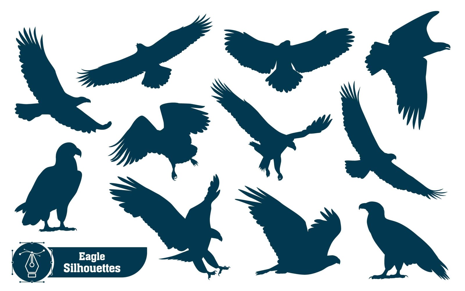 Collection of Animal bird Eagle silhouette in different poses