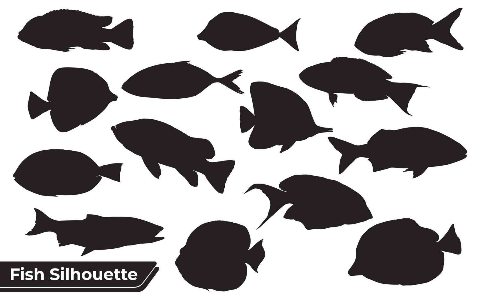 Fish 102
