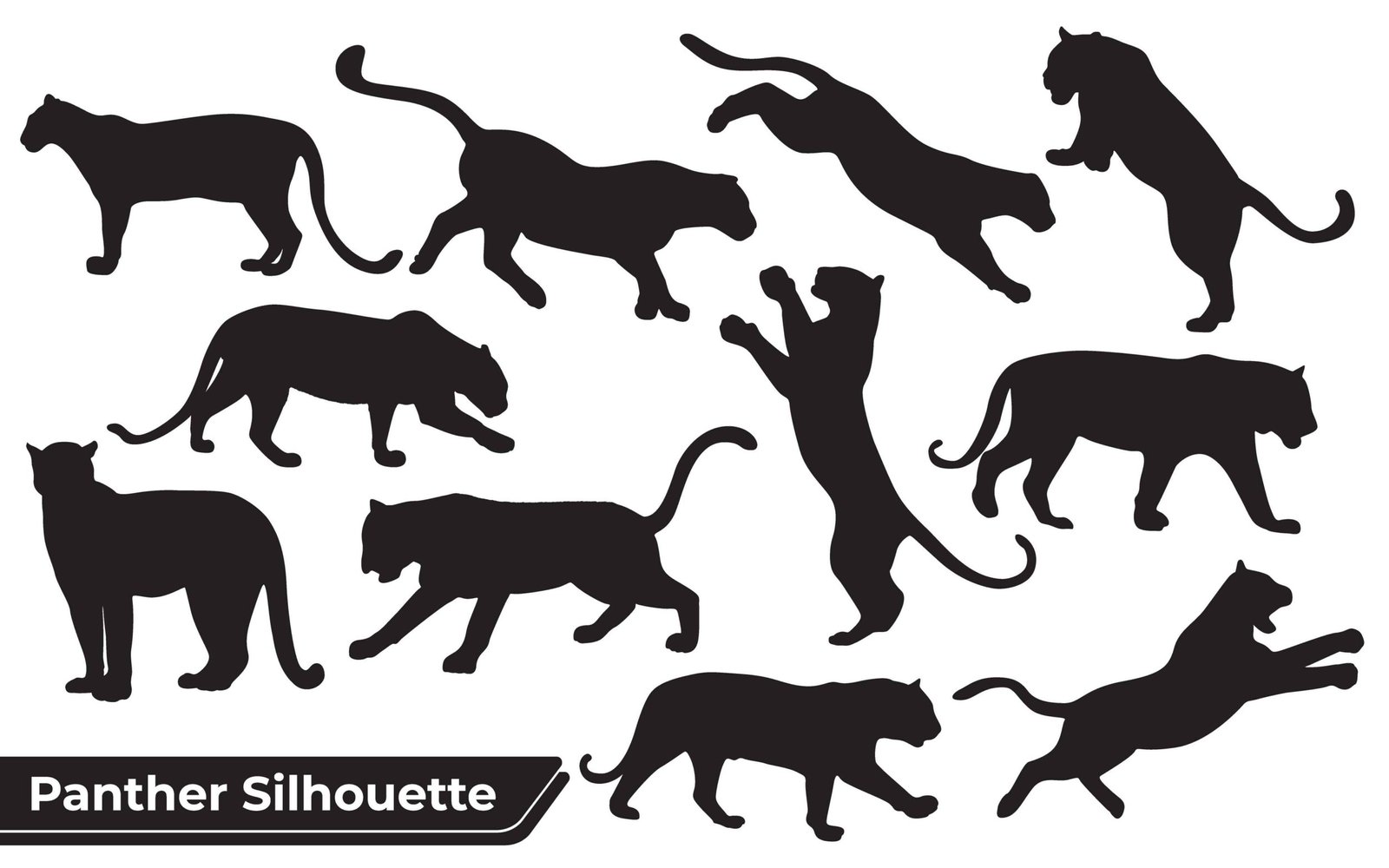 Collection of animal Panther in different positions