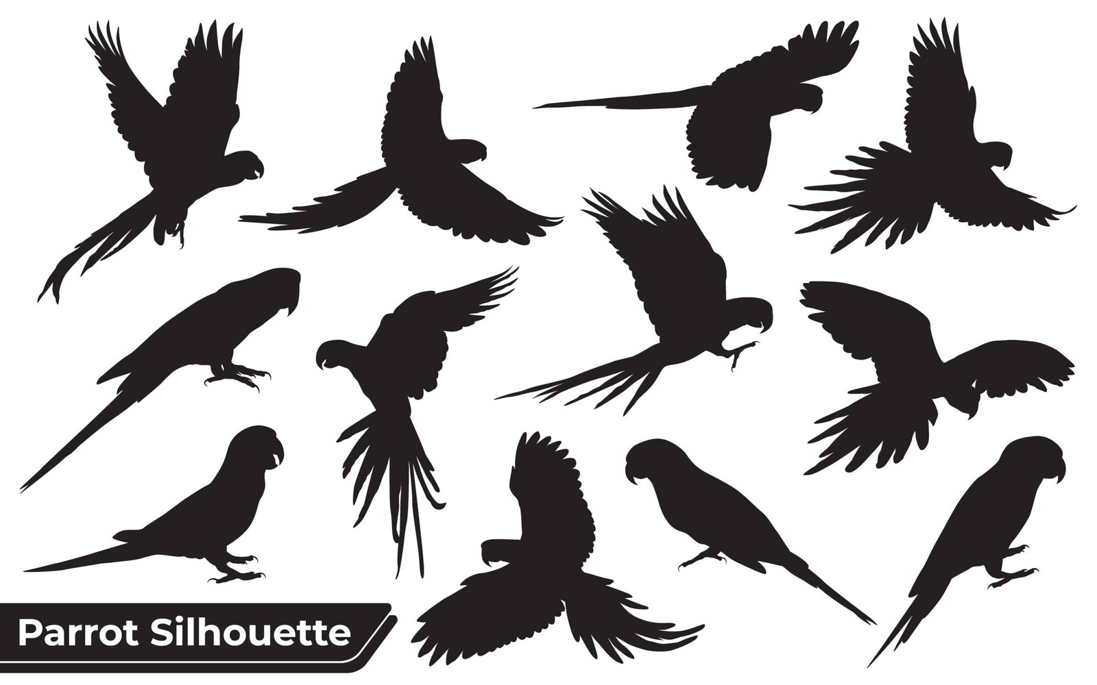 Collection of Animal Parrot Silhouettes vector