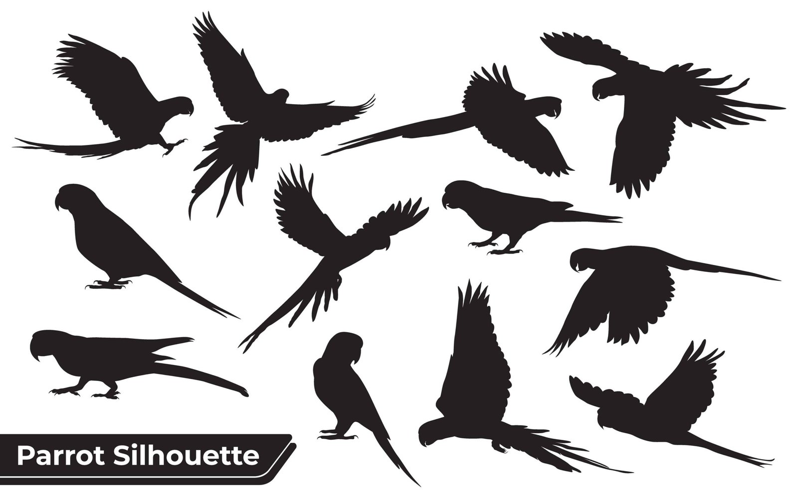 Collection of Animal Parrot Silhouettes vector