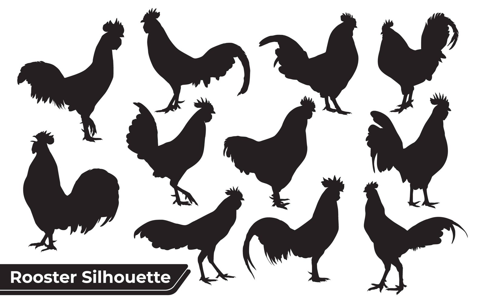 Collection of animal Rooster Silhouette in different poses