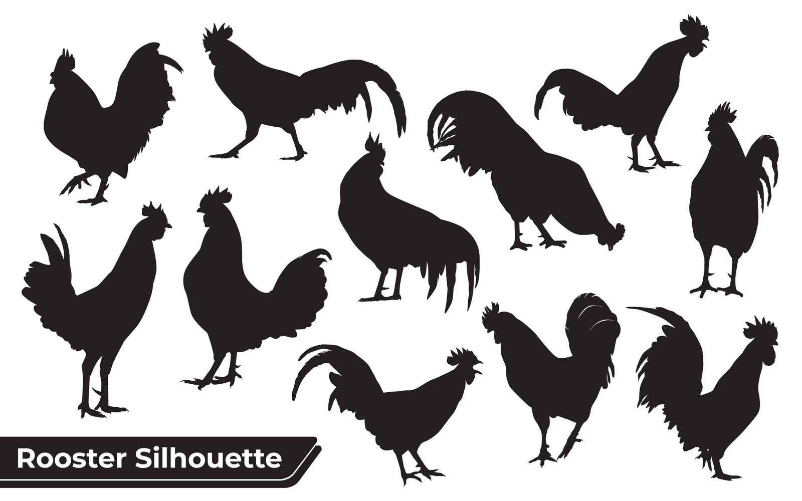 Collection of animal Rooster Silhouette in different poses