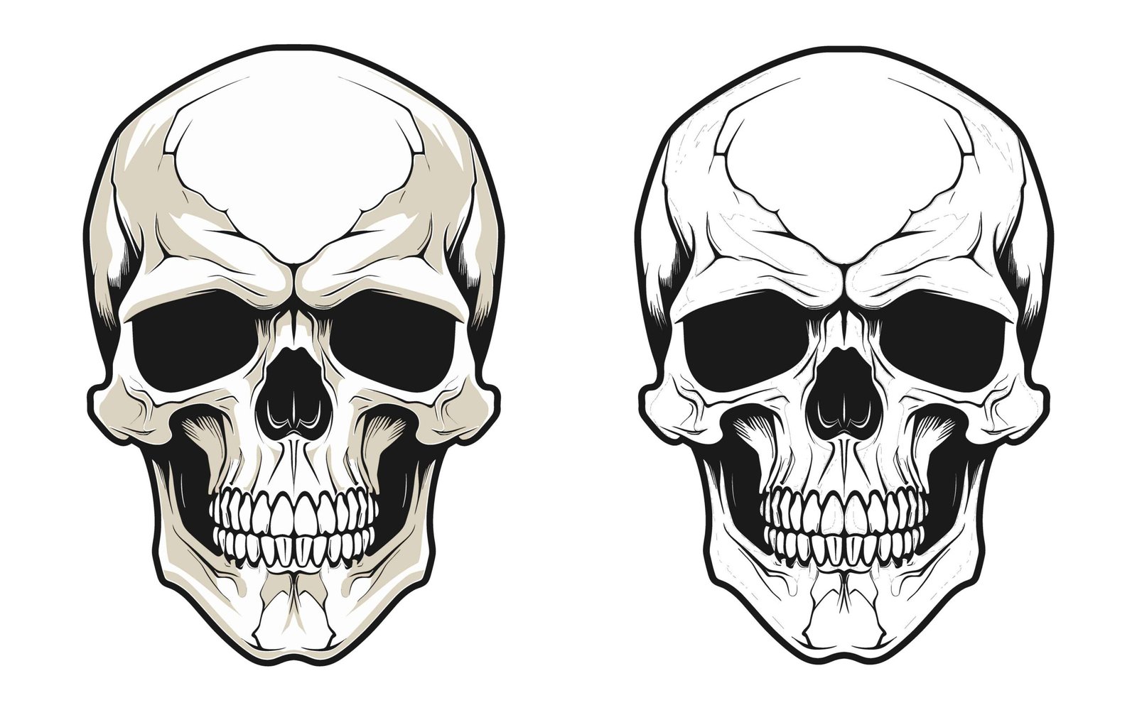 Skull illustration 002