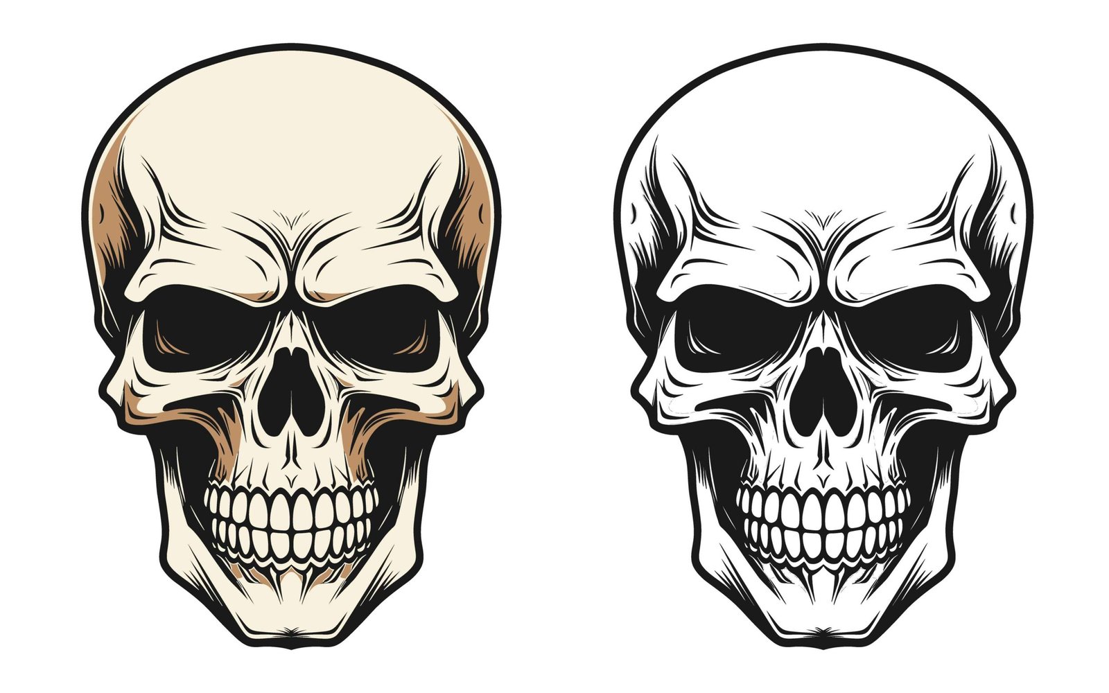 Vintage Monochrome Human Skull crossing bones Vector illustration
