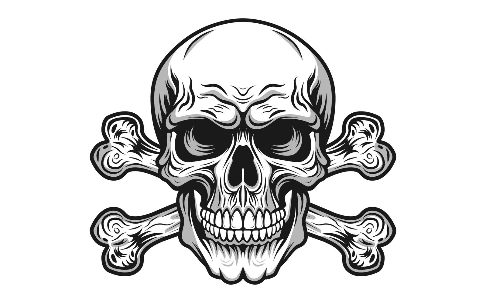 Skull illustration 004