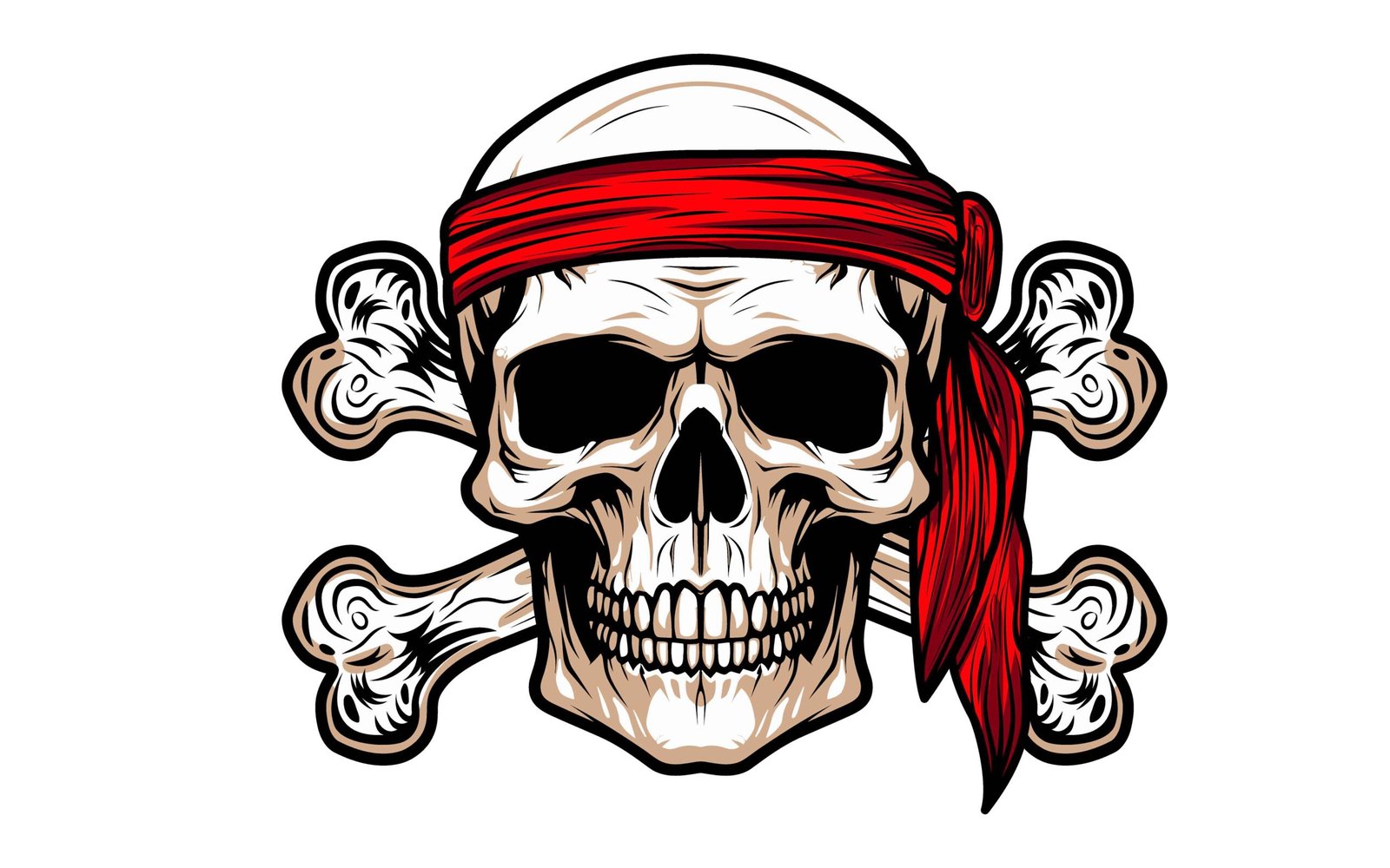 Skull illustration 005