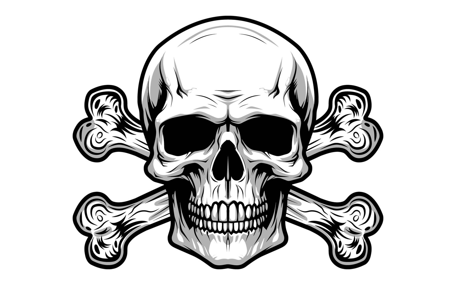 Skull illustration 007