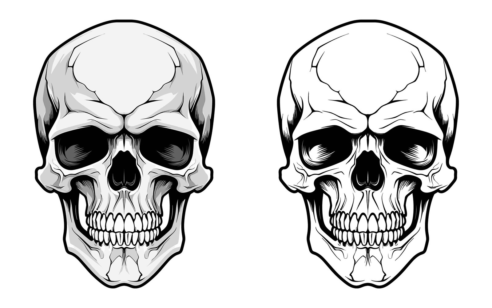 Skull illustration 008