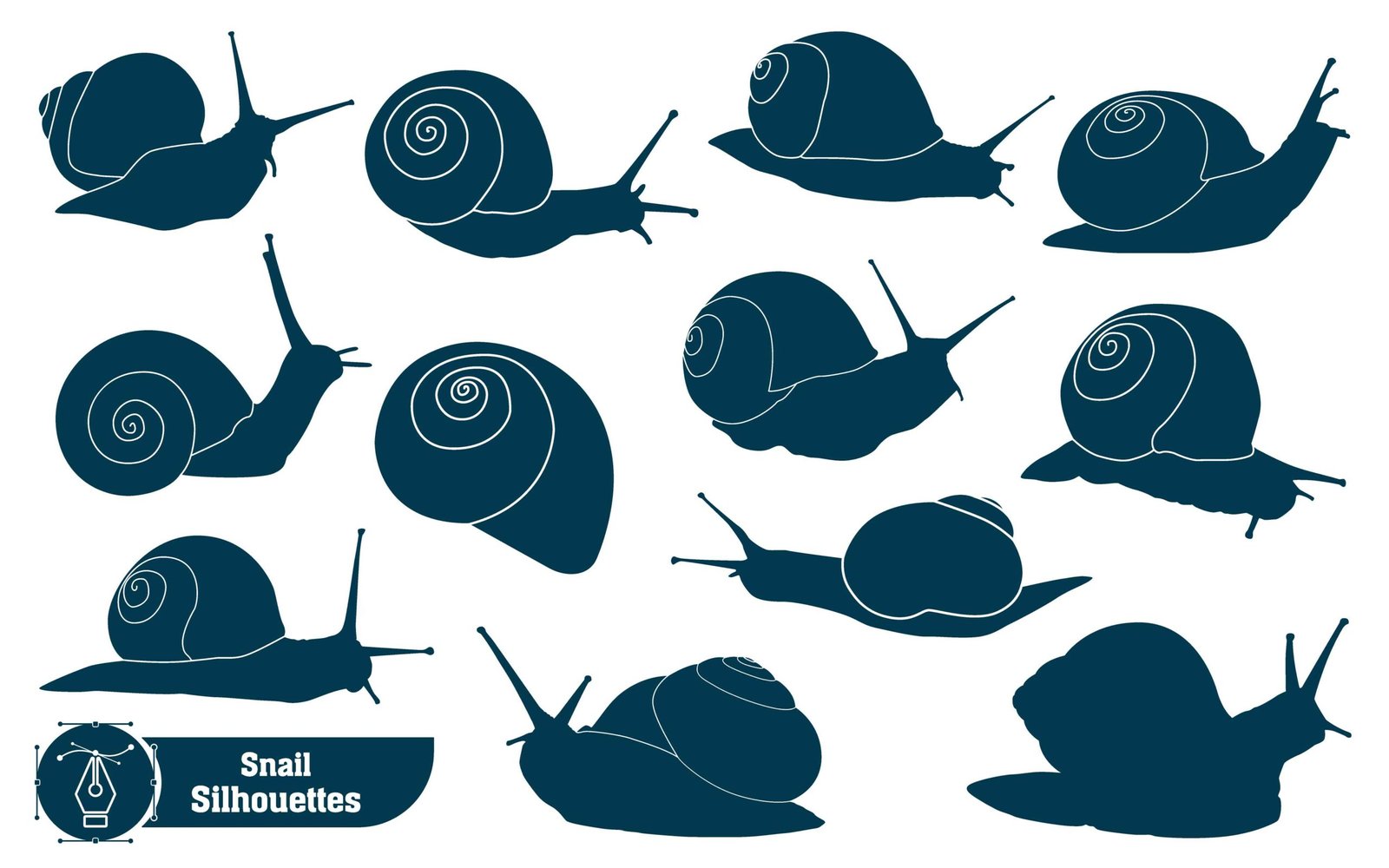 Snail 101