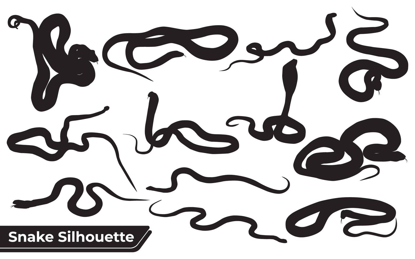 Collection of Animal Snake silhouettes in different poses