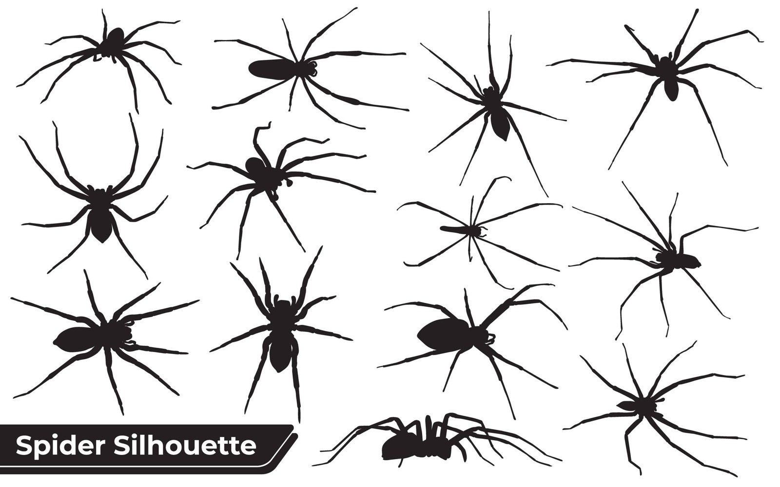 Collection of animal Spider Silhouette in different poses