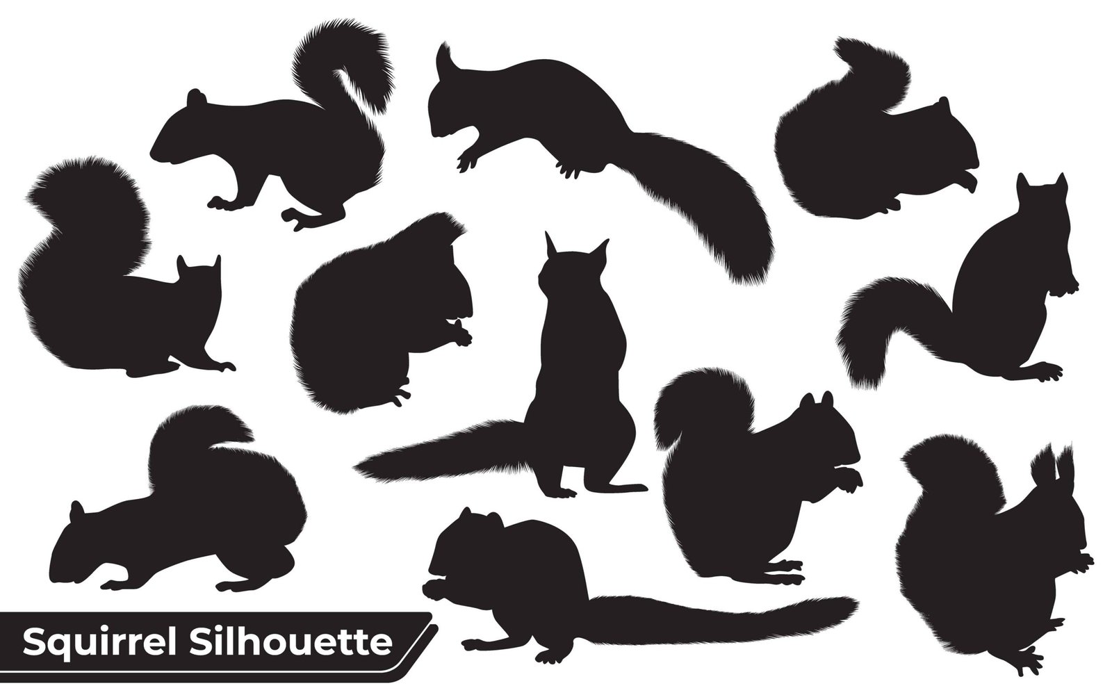 Collection of Animal Squirrel Silhouette vector
