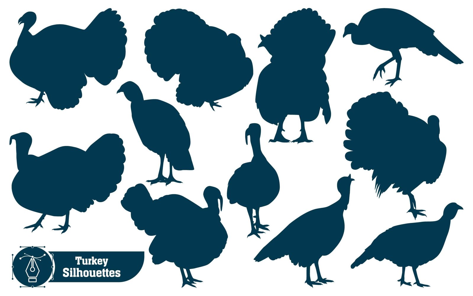 Vector collection of animal turkey silhouette in different poses